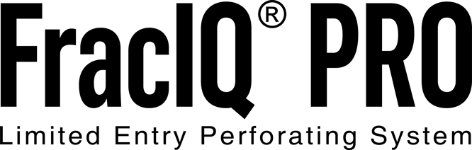 FracIQ Pro_Logo_05-07-2020_Black